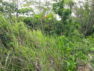 Residential lot For Sale in WESTGATE HILLS, St. James Jamaica | [3]