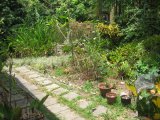 House For Sale in Dublin Castle, Kingston / St. Andrew Jamaica | [3]