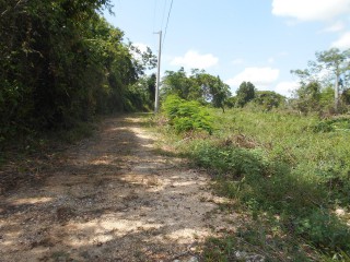Land For Sale in Rosewell, Clarendon Jamaica | [2]