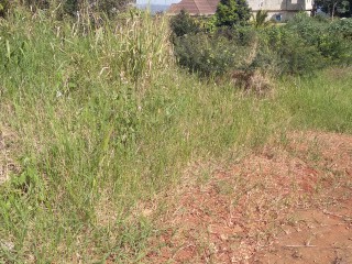 Land For Sale in Mandeville, Manchester, Jamaica