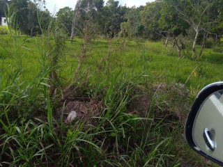 Residential lot For Sale in KnockPatrick, Manchester, Jamaica