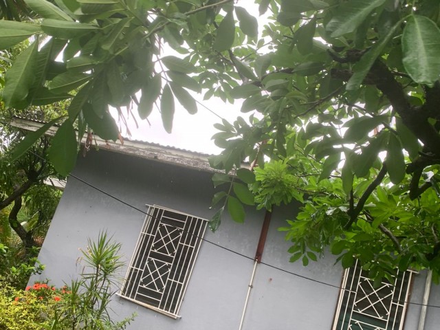 House For Rent in Hayes Clarendon, Clarendon Jamaica | [1]