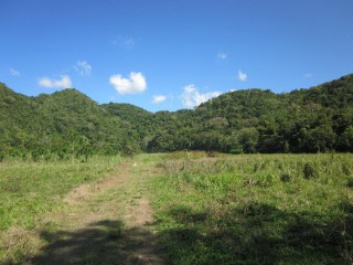 Commercial/farm land For Sale in Burnt Savannah, Westmoreland, Jamaica