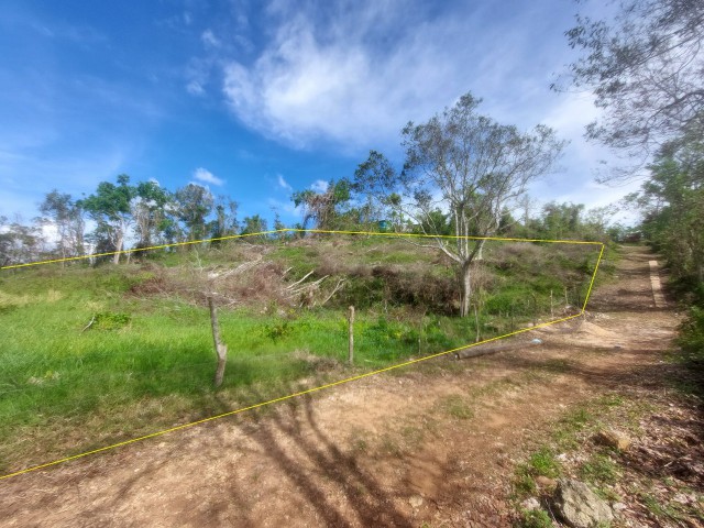 Land For Sale in Spur Tree Mandeville, Manchester Jamaica | [4]