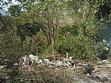 Residential lot For Sale in Jarrett Terrace, St. James Jamaica | [2]