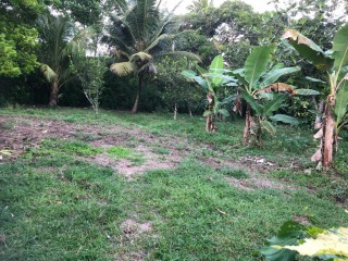 House For Sale in WHITEHALL, St. Mary Jamaica | [9]