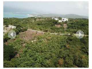Land For Sale in Whitehouse, Westmoreland Jamaica | [11]