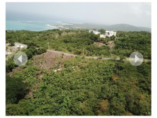 Land For Sale in Whitehouse, Westmoreland, Jamaica