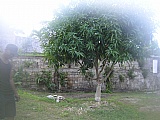 House For Rent in Balmoral Heights, St. Mary Jamaica | [6]