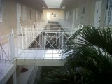 Apartment For Rent in Surbiton Road near Waterloo Drive, Kingston / St. Andrew Jamaica | [1]