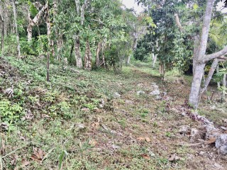 Residential lot For Sale in Old Stony Hill Road, Kingston / St. Andrew Jamaica | [5]