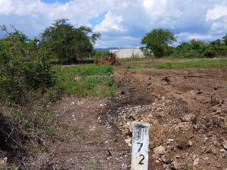 Land For Sale in Lacovia, St. Elizabeth Jamaica | [3]