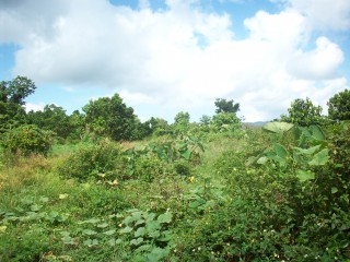 Residential lot For Sale in St Margarets Bay, Portland Jamaica | [1]