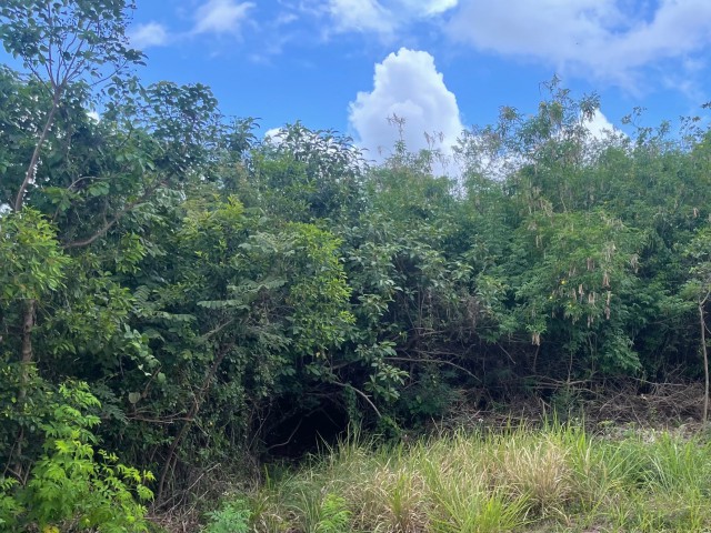 Land For Sale in Bull Savannah, St. Elizabeth Jamaica | [1]