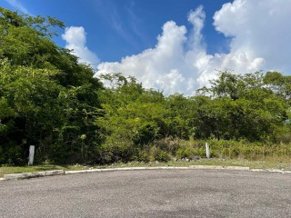 Land For Sale in Lacovia, St. Elizabeth, Jamaica