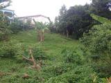 Residential lot For Sale in Fairy Hill Gardens, Portland Jamaica | [2]
