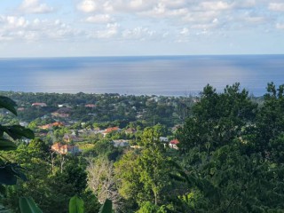 Residential lot For Sale in Cardiff Hall, St. Ann, Jamaica