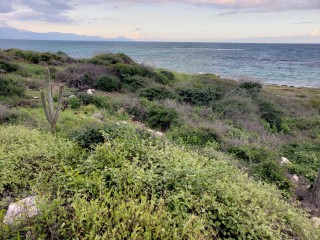 Residential lot For Sale in HELLSHIRE, St. Catherine Jamaica | [3]