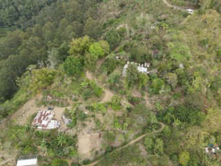 Commercial/farm land For Sale in St Peters, Kingston / St. Andrew, Jamaica