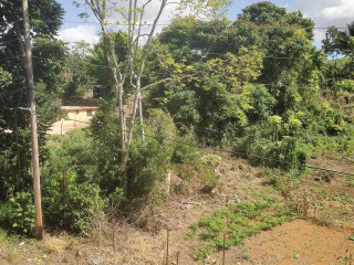 Residential lot For Sale in Mandeville, Manchester Jamaica | [10]