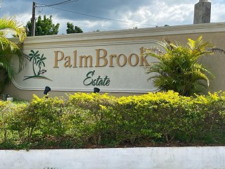 Land For Sale in Lacovia, St. Elizabeth Jamaica | [2]
