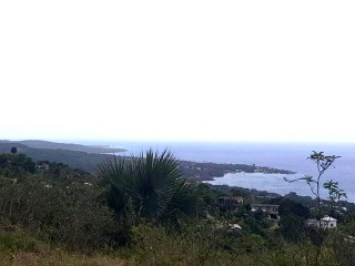 Residential lot For Sale in White House, Westmoreland Jamaica | [3]