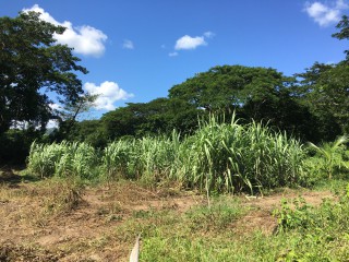 Commercial/farm land For Sale in Bath, St. Thomas Jamaica | [3]
