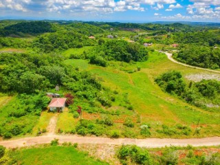 Land For Sale in 29 Knockpatrick And Invernes, Manchester, Jamaica