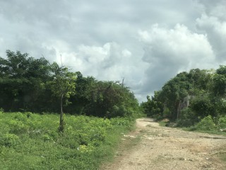 Land For Sale in BUCKNOR, Clarendon Jamaica | [4]