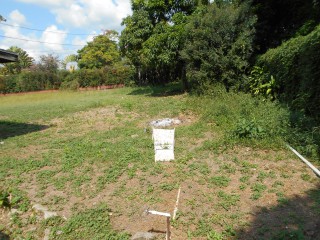 Residential lot For Sale in Dewesbury Avenue Kingston 6, Kingston / St. Andrew Jamaica | [4]
