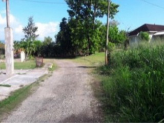 Residential lot For Sale in Petersfield, Westmoreland Jamaica | [1]