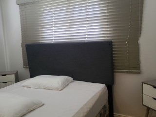 Apartment For Rent in New Kingston, Kingston / St. Andrew Jamaica | [9]