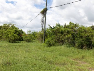 Residential lot For Sale in Twin Palms Estate, Clarendon Jamaica | [5]