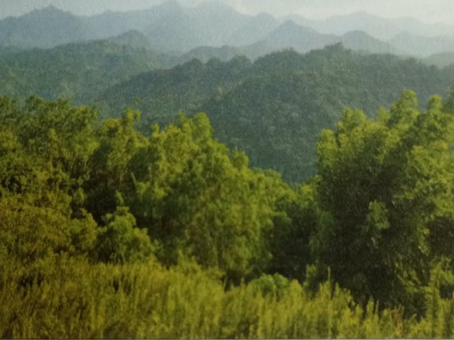 Residential lot For Sale in Haughton Court, Hanover Jamaica | [3]