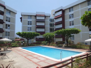 Apartment For Rent in Hope Road and Trafalgar Road, Kingston / St. Andrew Jamaica | [7]
