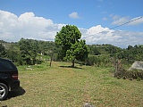 Commercial/farm land For Sale in Hatfield, Manchester Jamaica | [3]
