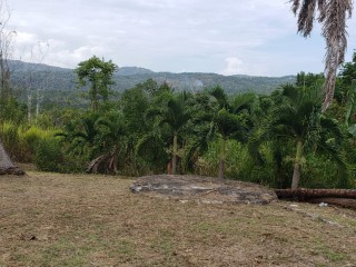 Commercial/farm land For Sale in Unity, St. Mary Jamaica | [6]