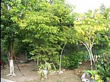 House For Sale in LLANDILLO SAVLAMAR WESTMORELAND, Westmoreland Jamaica | [6]