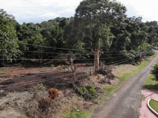 Residential lot For Sale in Pioria, Manchester Jamaica | [7]