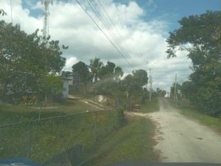 Commercial/farm land For Sale in Browns Town, St. Ann Jamaica | [11]