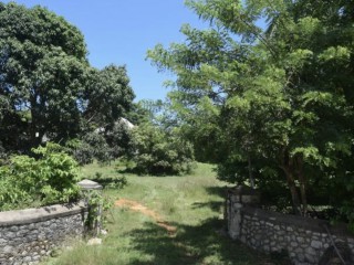 Residential lot For Sale in Duncans, Trelawny Jamaica | [3]