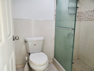 Apartment For Rent in New Kingston, Kingston / St. Andrew Jamaica | [7]