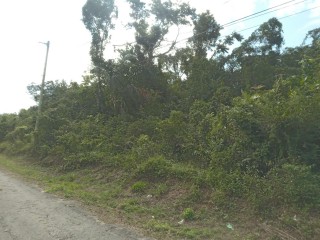 Commercial/farm land For Sale in Browns Town, St. Ann Jamaica | [3]