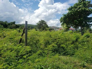 Residential lot For Sale in Rockville Galina, St. Mary Jamaica | [2]