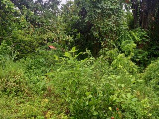 Residential lot For Sale in Whitehouse, Westmoreland Jamaica | [2]