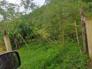 Land For Sale – Bunkers, Trelawny, Jamaica