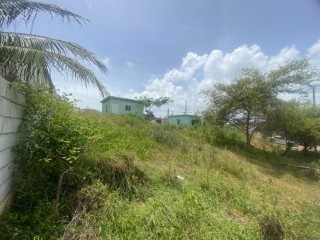 1 bed House For Sale in Luana Pen Black River, St. Elizabeth, Jamaica