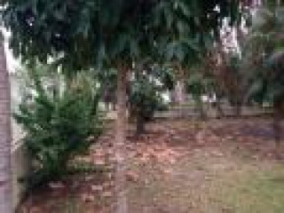 House For Sale in Negril, Westmoreland Jamaica | [1]