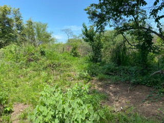 Residential lot For Sale in Bushy Park, St. Catherine, Jamaica