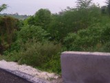 Residential lot For Sale in Tropical Sunshine Properties, Westmoreland Jamaica | [1]